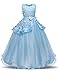 NNJXD Girl Sleeveless Embroidery Princess Pageant Dresses Prom Ball Gown Size (150) 9-10 Years Blue