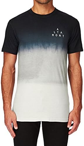 T-Shirt Men Altamont Dust Settles T-Shirt