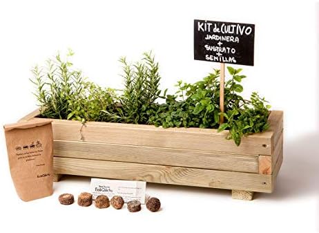 Kit de cultivo en jardinera minimalista para infusiones y cócteles ...