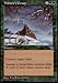 Magic: the Gathering - Winter's Grasp - Tempest