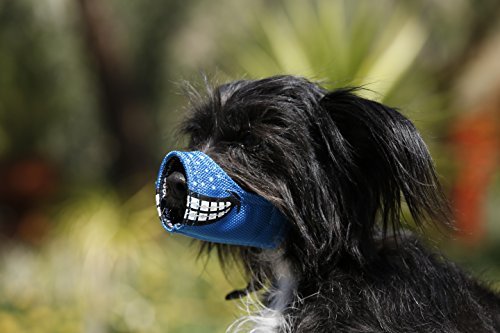 cesar funny muzzle