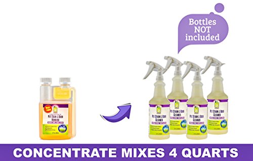 1 Pet+Urine+Stain+Enzymatic+Concentrate