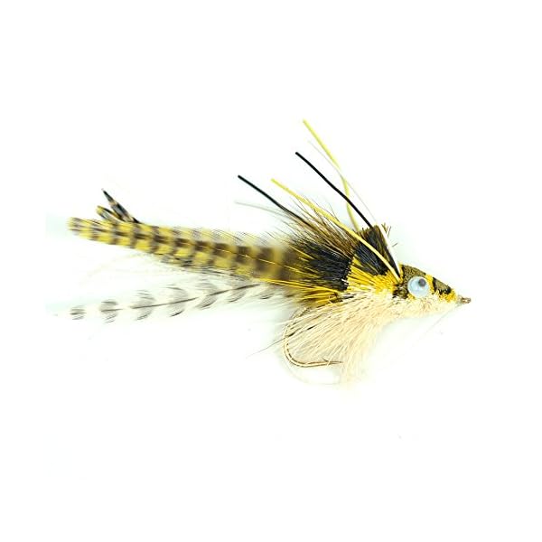 The-Fly-Fishing-Place-Bass-Bug-Collection-Set-of-12-Bass-Fly-Fishing-Flies-Surface-Poppers-Divers-and-Subsurface-Hook-Sizes-24-and-6