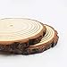 Natural Wood Slices 10 Pcs 4