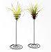 Hotoco air plant stand holder air plant base Container Tabletop Planter Tillandsia Planter Racks(3 Pack)thumb 2