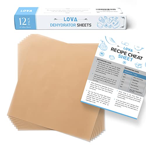 Dehydrator Sheets (Teflon, 12 Pack) Free Recipe Sheet Jerky, Fruit