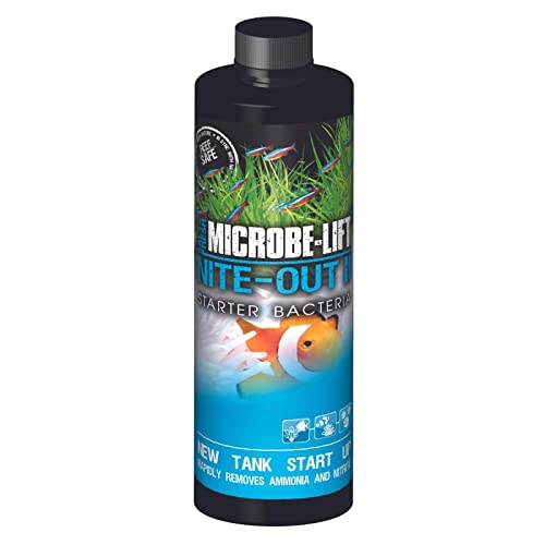 Microbe-Lift Nite-Out II Bacteria