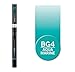 Chameleon Art Products, Pen, Aqua Marine BG4, One Pen Two Nibs