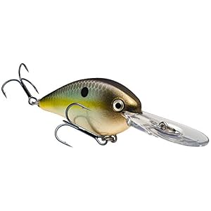 Strike King Kvd 1,5 Flatside Pro Casque De Skateboard Crankbait