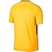 Nike Breathe Paris Saint Germain Stadium Jersey [Tour Yellow]
