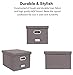 Internet's Best Collapsible File Storage Organizer with Lid - Decorative Linen Filing & Storage Office Box – Hanging Letter/Legal Folder – Home Office Bins Cabinet – Grey Container - 2 Pack
