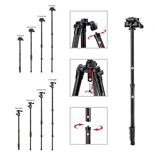 BONFOTO B73A + BH-00 58-inch Aluminum Alloy Professional Compact Travel Camera Tripod and Monopod with Panorama Pan Head + Swivel Ball Head + Carrying Bag for Smartphones and Digital Camera