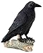 Top Collection Raven Perched on Branch Statue - Collectible Hand Painted Crow Sculpture with Key - 6.25-inch Decorative Figurine