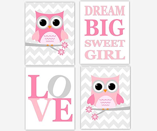 Baby Girl Nursery Art Pink Gray Grey Owls Dream Big Sweet Girl Canvas Prints 8x10 inches Each Love Owl Wall Art Chevron Birds Baby Quotes Baby Nursery Decor