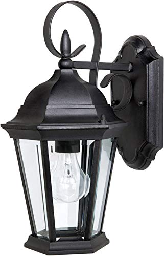 Capital Lighting 9726BK Carriage House Clear Glass Outdoor Wall Lantern, 15" H x 8" W, 1-Light 100 Watt, Black at Amazon