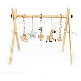 haba color fun play gym