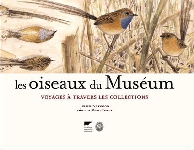 Les  oiseaux du Muséum