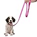 Dog Leash, Itery Pet Durable Leash Strap for Puppy Pet Leash Rope 6-feet Long 3/4 Inch Wide (Black, 6 Feet)