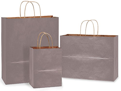 Pack Of 300, Metallic Silver Kraft Paper Shopping Bags Solid Assortment 150 Cub (8