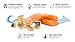 Freeze Dried Salmon Dog Treats – All Natural Dog Treats, Healthy Protein, High Value Training – Omega 3-6 Fish Oil - 100% Pure Fish with Skin, Wild Caught - Single Ingredient, Grain Free - Made in USA
