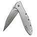 Kershaw Leek, Composite Blade (1660CB) Pocket Knife with 3" Sandvik 14C28N/D2 Composite Blade and 410 Stainless Steel Handle; SpeedSafe Assisted Opening, Frame Lock, Reversible Pocketclip; 3.1 OZ primary