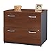 Bush Business Furniture Series C Lateral File Cabinet in Hansen Cherry