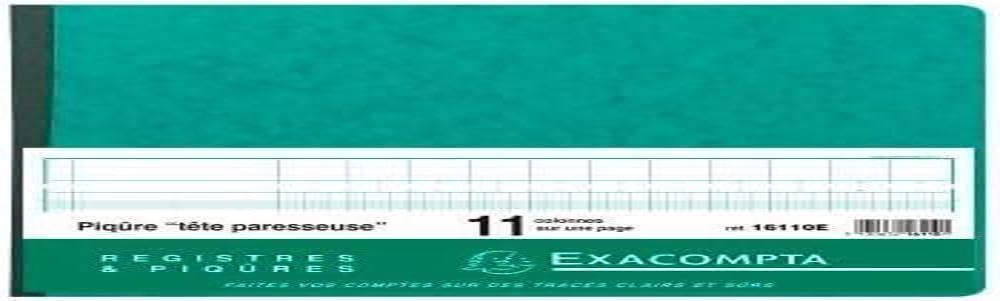 Exacompta - Ref 16110E - A4+ Horizontal Account Book (80 Pages) - 270 x 320mm in Size, Horizontal Format, 11 Columns on 1 Page, 28 Lines - Random Colour (French)