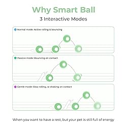 [3 Interactive Modes] Cheerble Intelligent