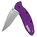 Kershaw Scallion Purple Folding Knife (1620PUR), 2.4" Bead-Blasted 420HC Steel Blade, Anodized Aluminum Handle, SpeedSafe Assisted Open, Flipper, Liner and Tip Lock, Single-Position Pocketclip; 2.5 OZ primary