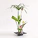Fityle 4Pcs ~Square_L Plastic Ikebana Suiban Vase Tray Bonsai Flower Container~Various Shape,Black