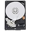 Western Digital Caviar Blue 500GB SATAIII 6Gb/s 16MB Cache 3.5 inch Internal Hard Drive OEM