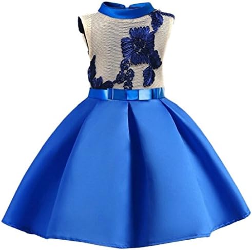 Generic Little Girl New Swing Party Princess Retro Floral Print Sleeveless Dresses Sapphire Blue 5T