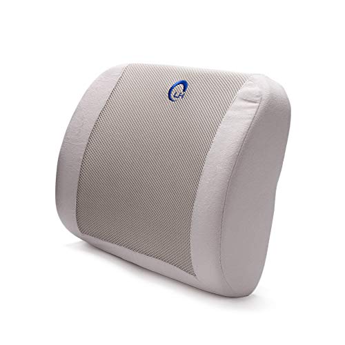 1 RTYou+Lumbar+Support+Pillow+Cushion