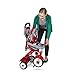 Radio Flyer EZ Fold Stroll 'N Trike Deluxe