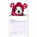 Magnet & Steel 2017 Boston Terrier Calendar, Wall Calendar