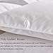 Zingsleep Goose Down Alternative Comforter （King 106 x 90 Inch）,Ultra Soft Brushed Microfiber， Quilt with Corner Tab for All Season Hypoallergenic Plush Mircofiber Comforter Duvet Insert