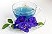 100 grams (0.1 kg.) Organic Dried butterfly pea flower Clitoria ternatea Herbs Herbal healthy tea drink recipes food coloring Antioxidants aging wrinkles