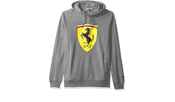 Amazon.com: Puma de los hombres Scuderia Ferrari Big Shield Sudadera con  Capucha para Hombre : Ropa, Zapatos y Joyería