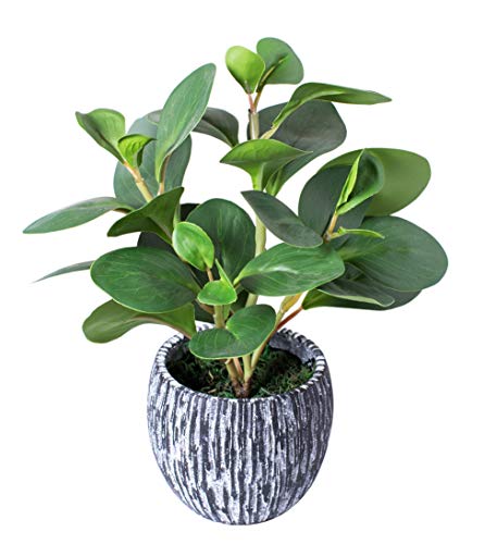 AlphaAcc Mini Potted Artificial Plants Real Looking Plastic Fiddle Leaf Fig Plant with Rustic Black Cement Planter for House Office Desk Decor