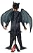 Rubies How to Train Your Dragon 2 Night Fury Costume, Child Small