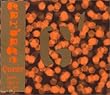 Queer [CD 1]