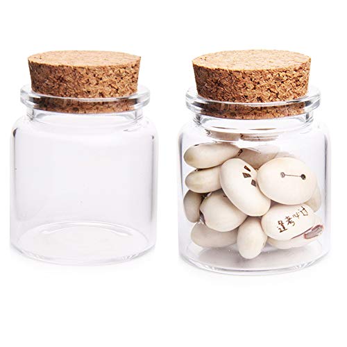 luzen 2Pcs 50ml Empty Clear Glass Bottles Vials