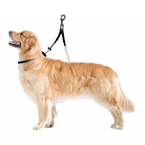No Sit Pet Haunch Holder Dog Grooming Arm Restraint for Small, Medium