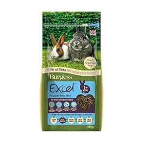 Burgess Excel Junior and Dwarf Nuggets with Mint Rabbit Food 2 kg