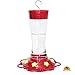 DAWN OF PETS 32 Oz Hummingbird Feeder for Outdoors, Hanging, Bright Red Color, Transparent Heat Stable Plastic Tube,