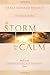 The Storm Before the Calm: Book 1 in the Conversations with Humanity Series (Conversations With Humanity, 1)