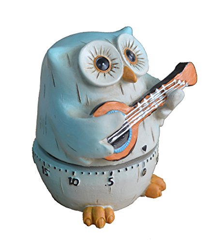 GIFTME 5 Owl Cartoon Kitchen Timer Cooking Timer Cute Timer Reminder(Bluish green)