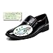 BOAITE UV Shoes Deodorizer Ultraviolet with Ozone Sterilization Dehumidification Warm Dryer