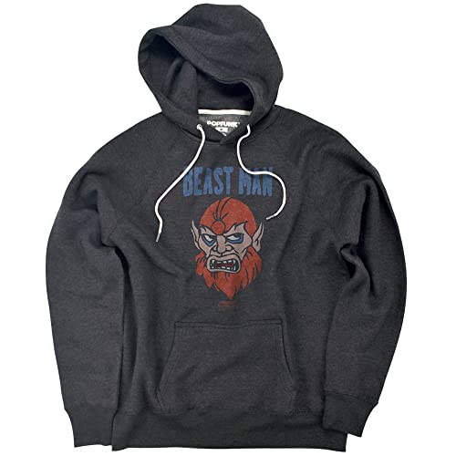 Popfunk Masters of The Universe The Beast Man