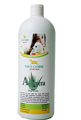 Buy Para Canine Aloevera Dog Wash 1000 Ml Online At Low Prices In